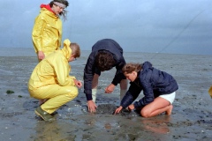 1981-09_isselmeer_b_015_20140122_1080506487
